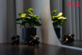 MYE Apartments - 25